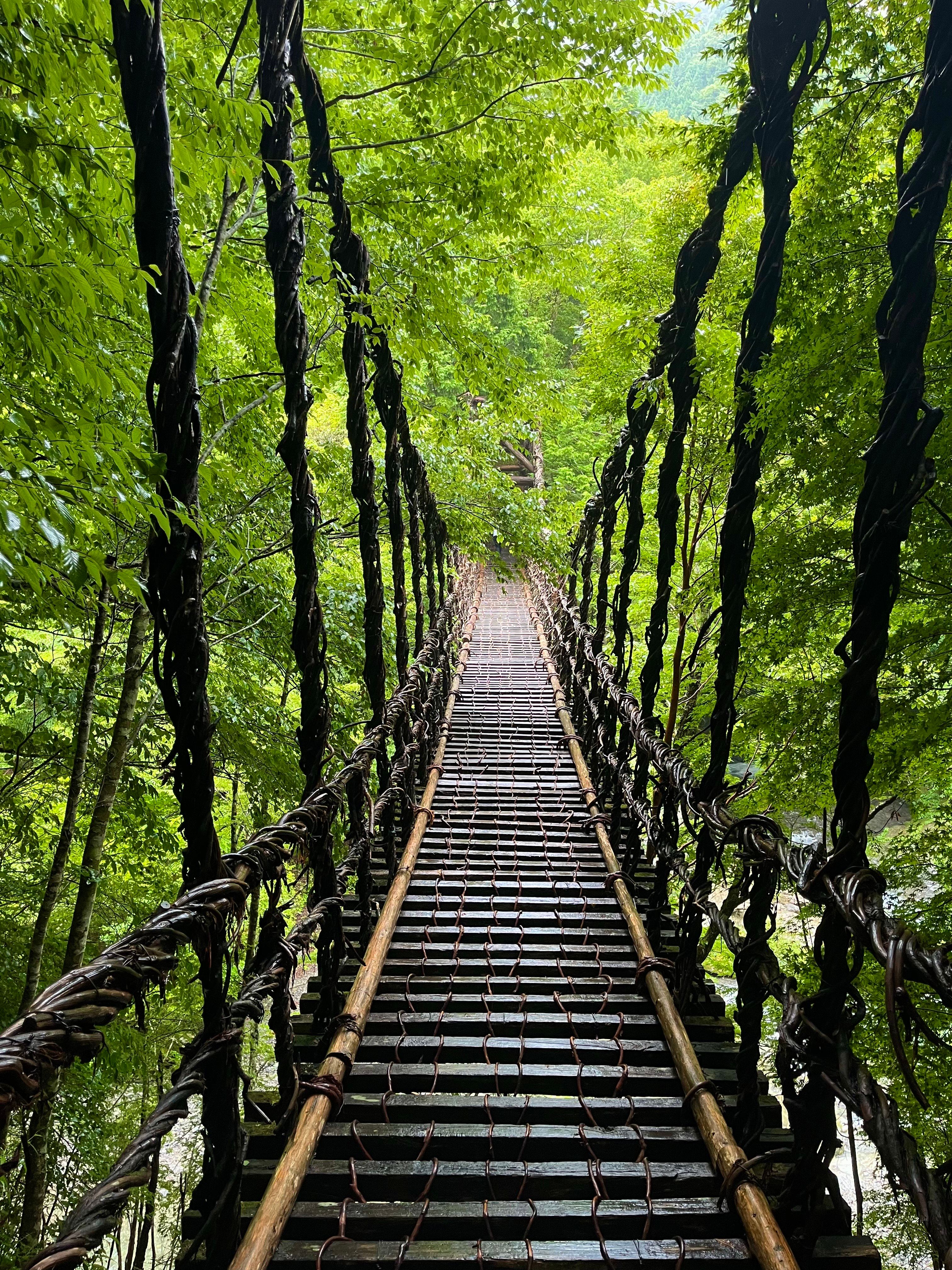 What is the Shikoku Pilgrimage?