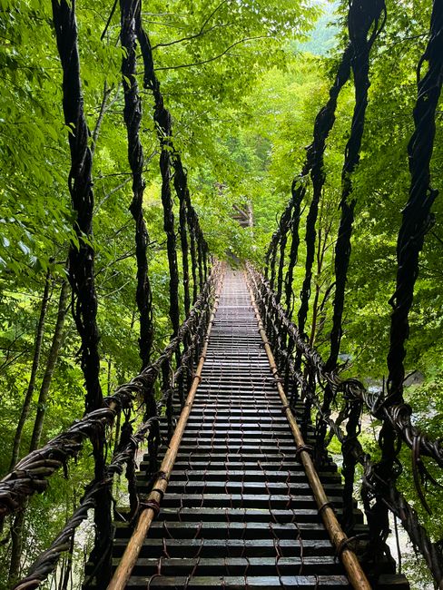 What is the Shikoku Pilgrimage? What is the Shikoku Pilgrimage?