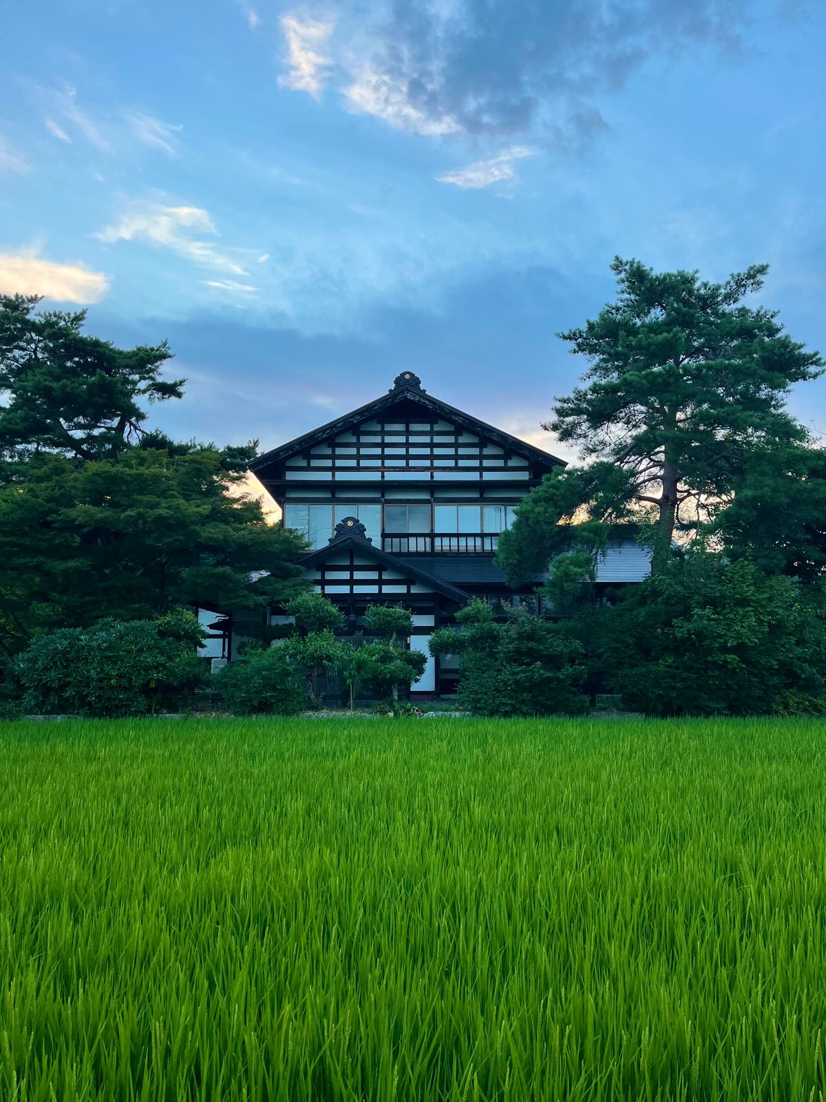 Traditional Japanese farmhouse surrounded by lush green rice fields in rural countryside
