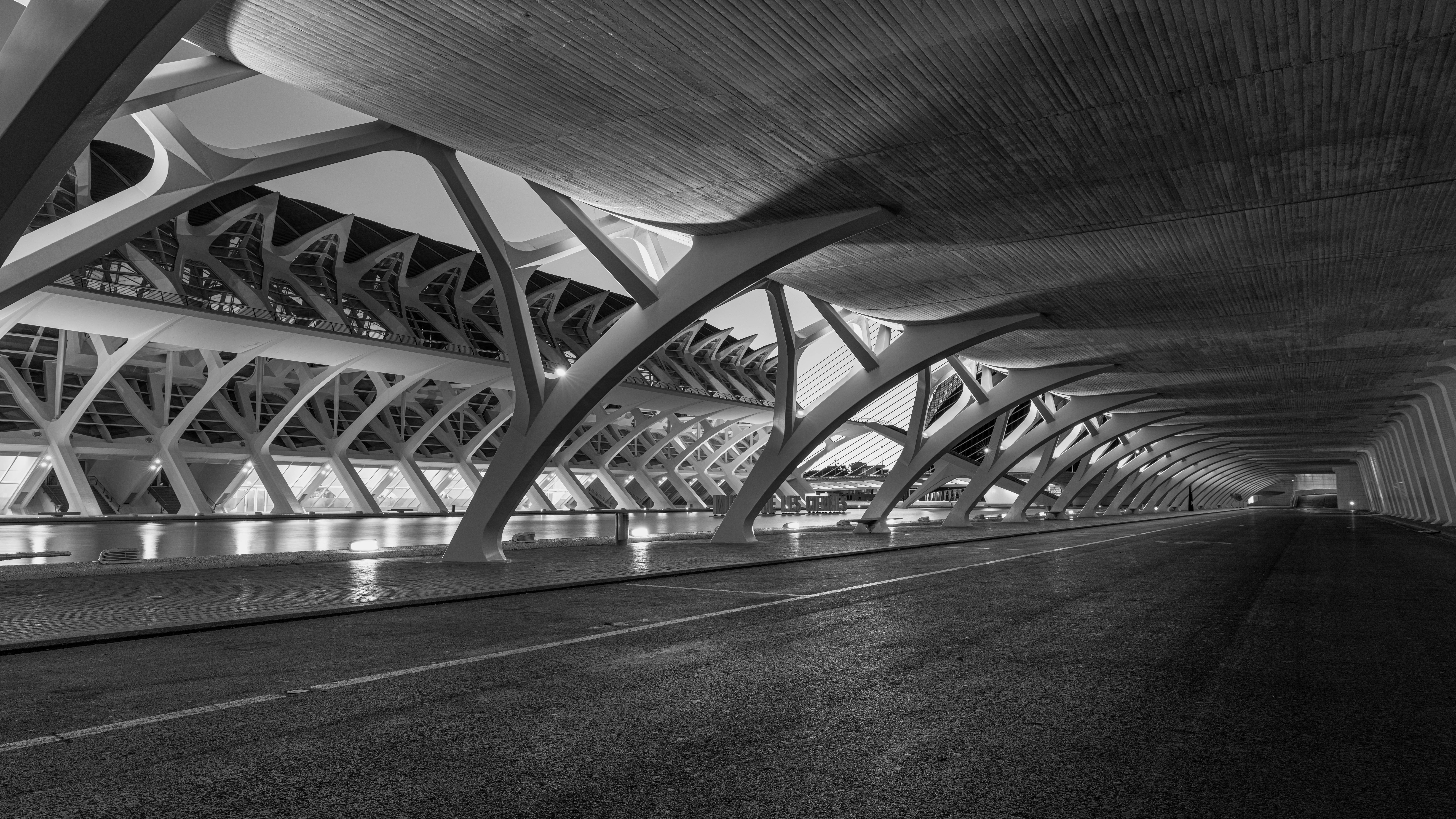 Airport transfers in Bologna