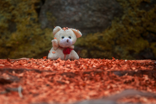 A plush teddy bear sits adorably among vibrant fallen leaves in a forest setting.