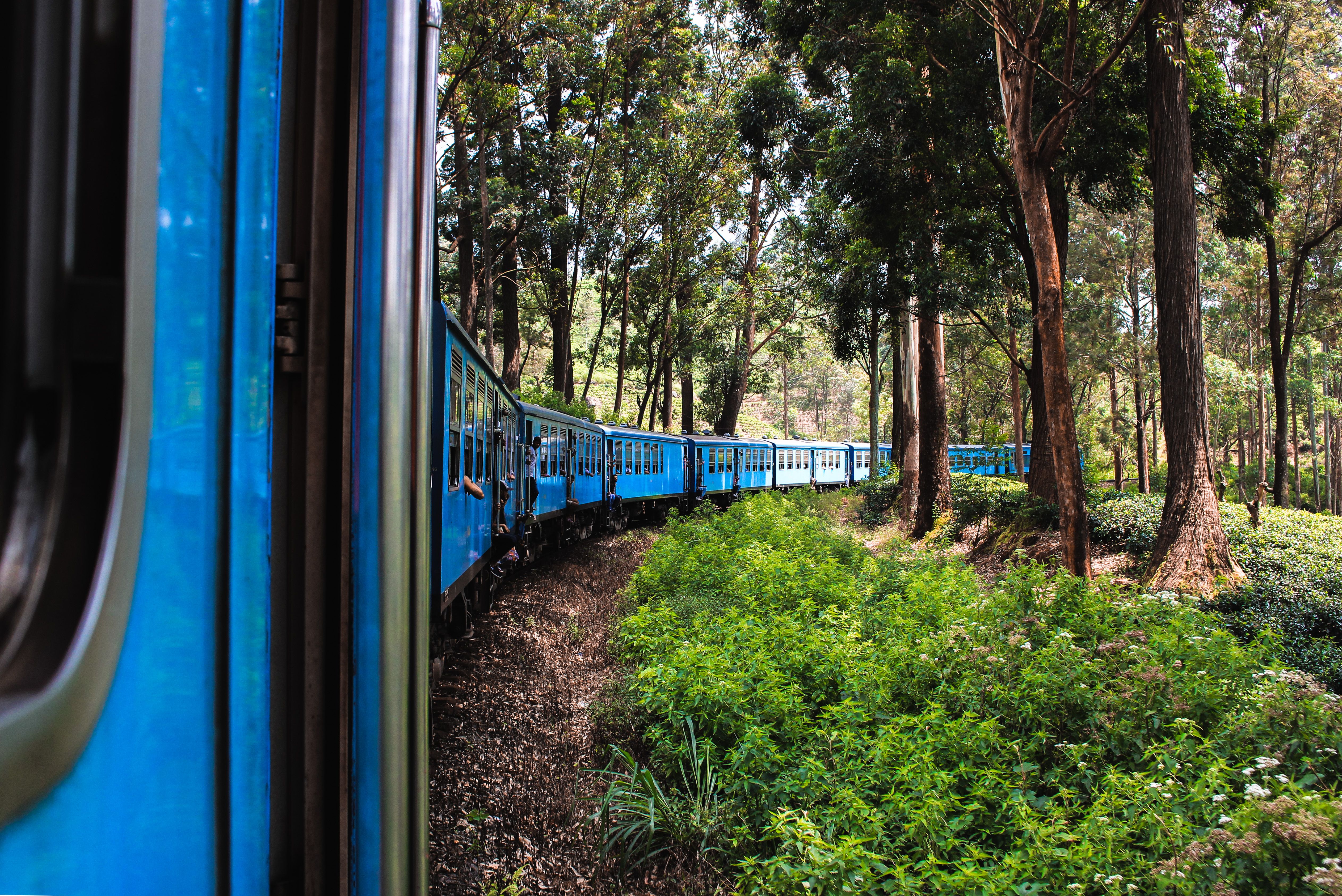 A scenic train winding through the lush landscapes of Sri Lanka near Kandy