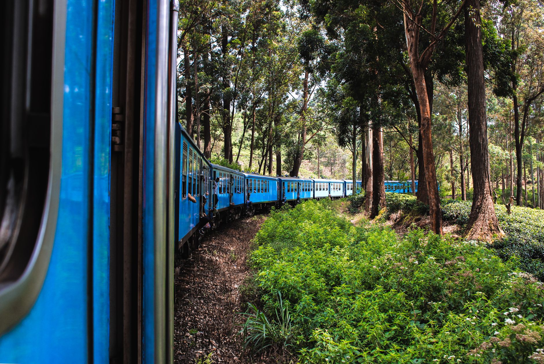 Best Places in Sri Lanka for Scenic Train Journeys