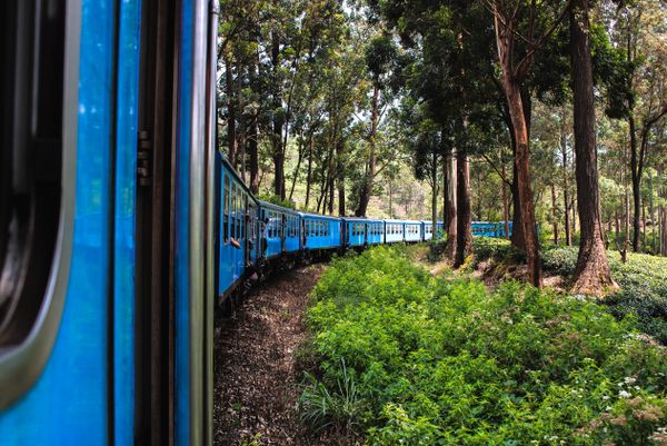 Return flights to Sri Lanka from Vienna starting from €409