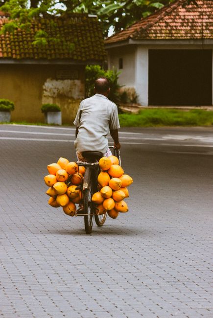 Ben Tre: More Than Just Coconuts Ben Tre: More Than Just Coconuts