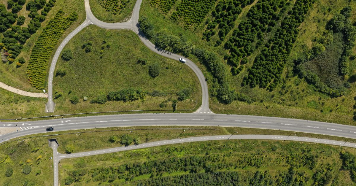 Døgnrapport: Vanvidskørsel, hash og voldsomt hundeangreb