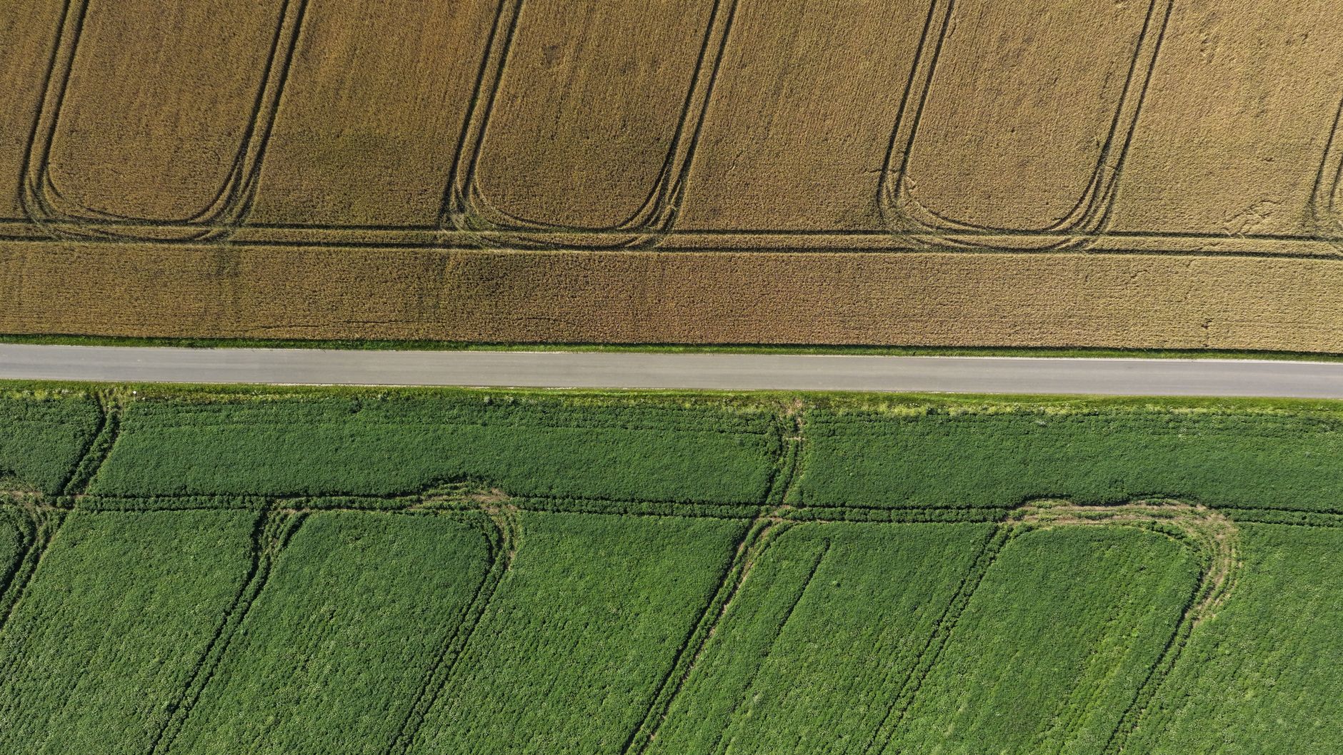 side by side ai image comparison