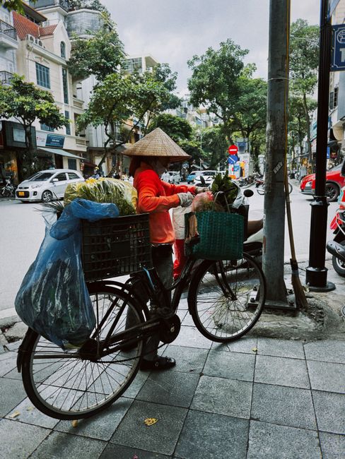 The Sensory Overload of a Vietnamese Market The Sensory Overload of a Vietnamese Market