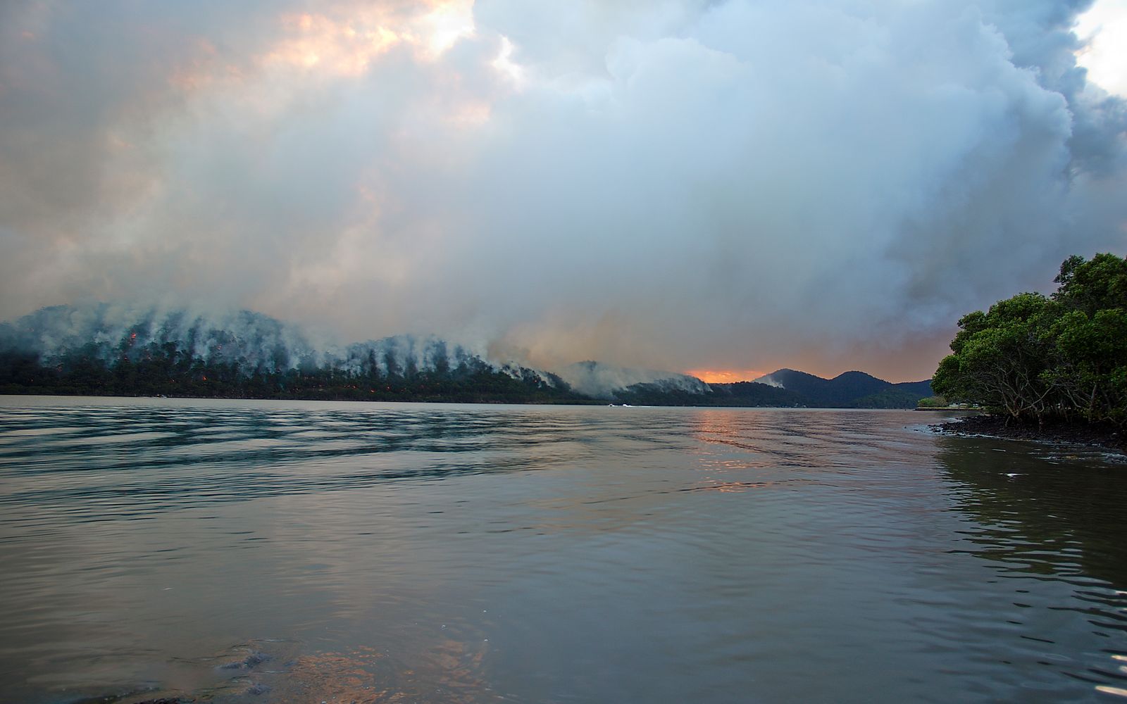 Thick smoke rising over a river and forest at sunset