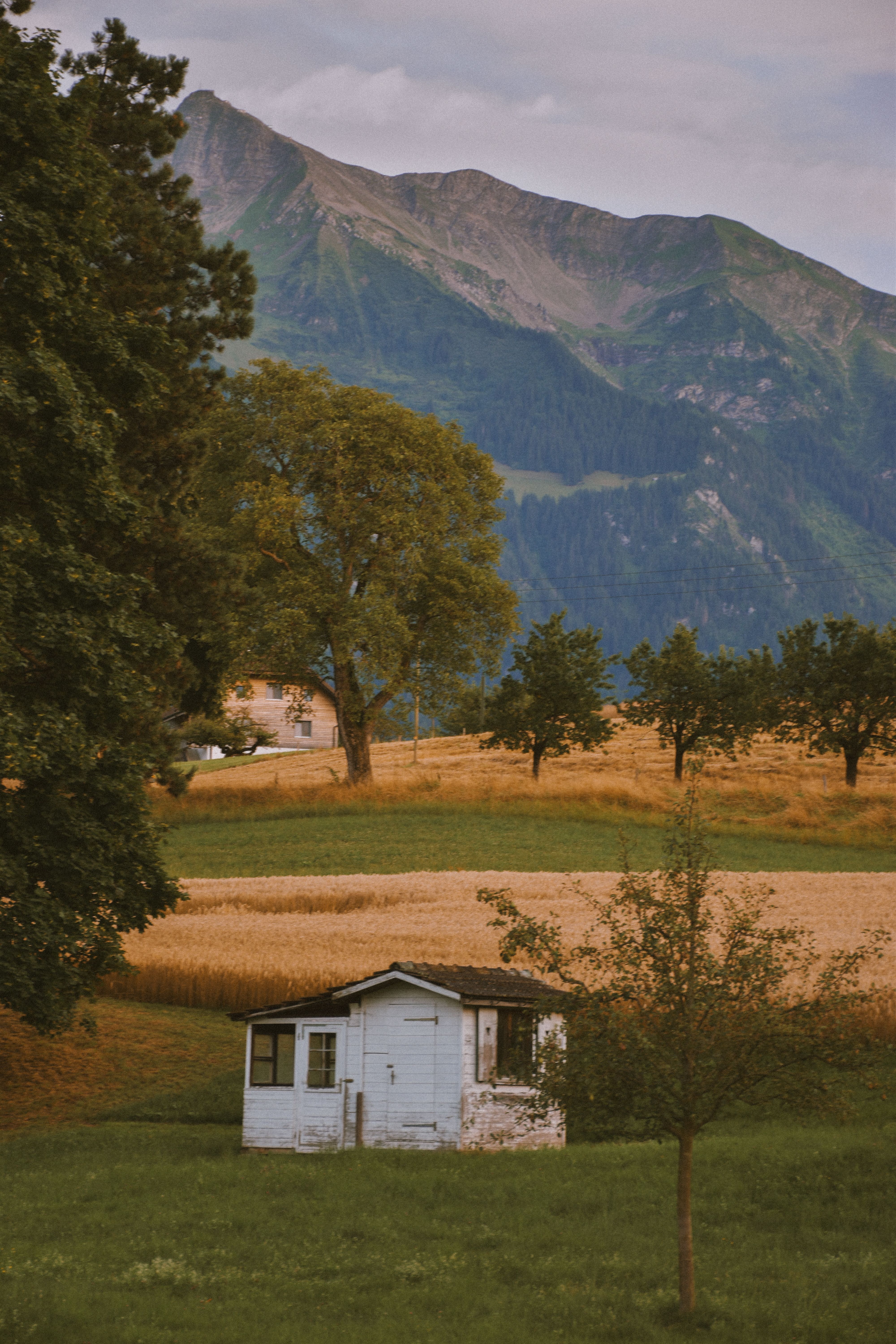 A quaint cabin on a grassy field in the Swiss countryside, framed by alpine mountains.