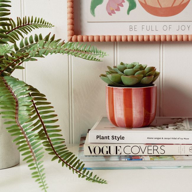 Hand-thrown green ceramic plant pot on a warm neutral surface