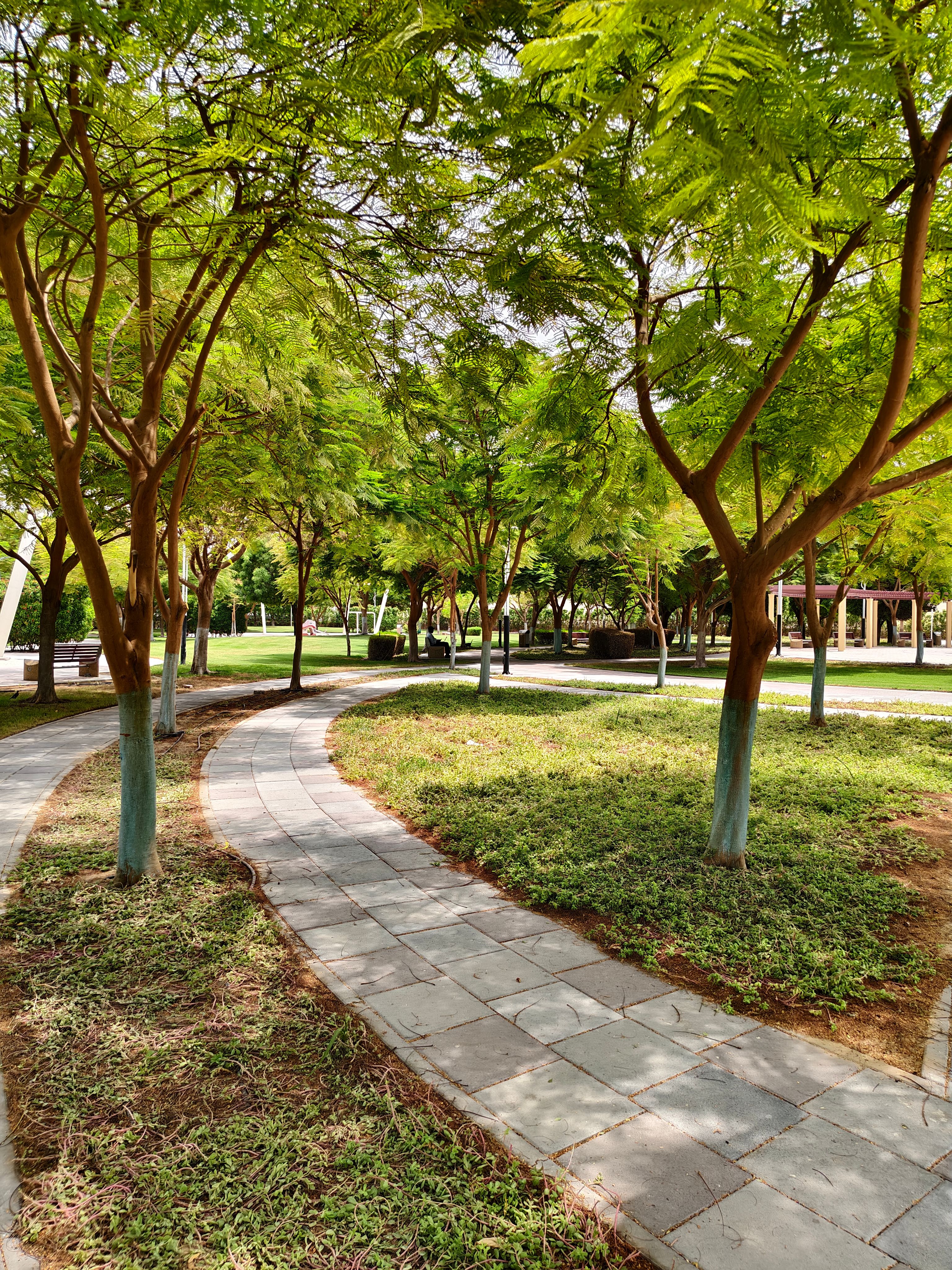 Free Serene park pathway surrounded by lush greenery and trees in Dubai, UAE. Stock Photo