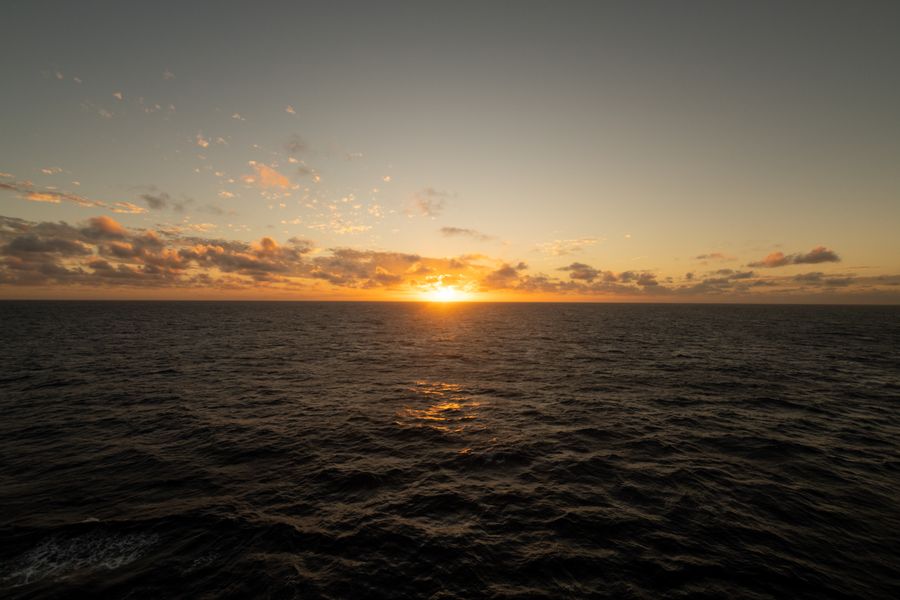 Collection Horizon
