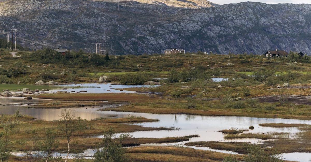 Les tendances de voyage nature en 2026