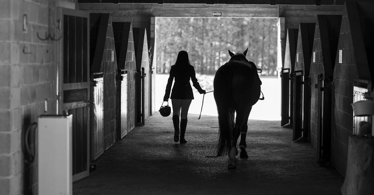地下室練射箭 北市國語實小國際賽奪四金