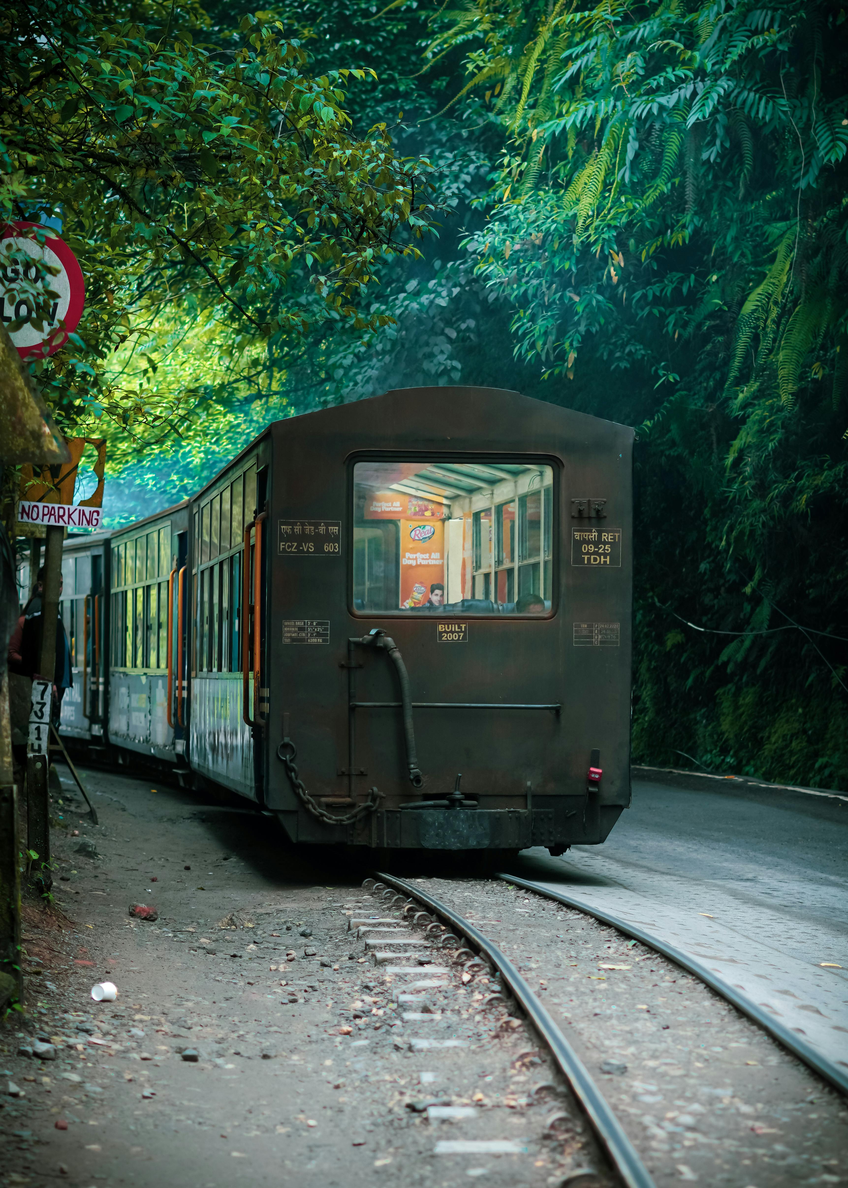 Charming view of the Darjeeling Toy Train amidst lush greenery, showcasing heritage travel.