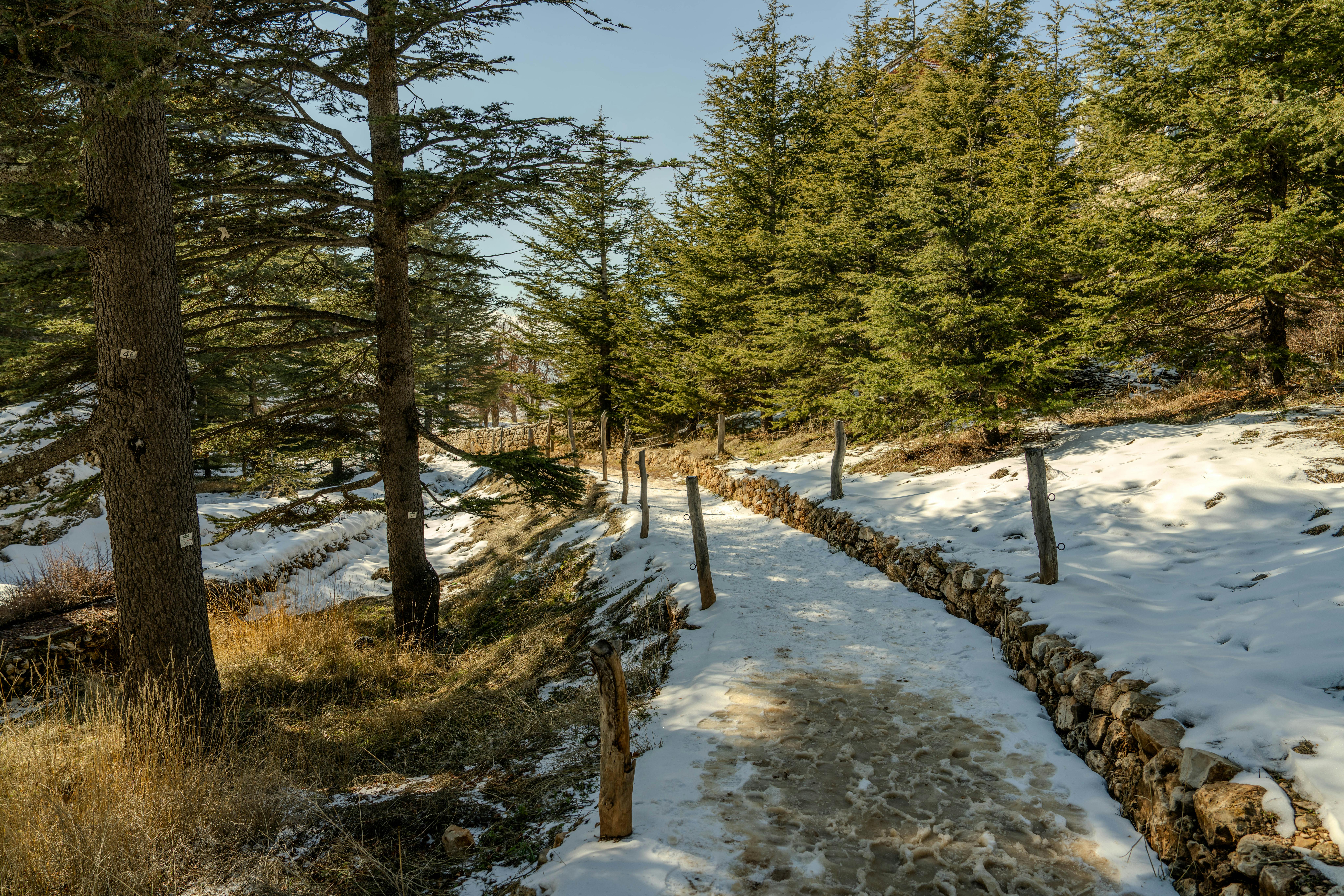 The Ultimate Guide to Eco-Friendly Adventure Tourism in Elevation Zones