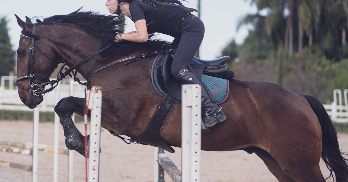 地下室練射箭 北市國語實小國際賽奪四金