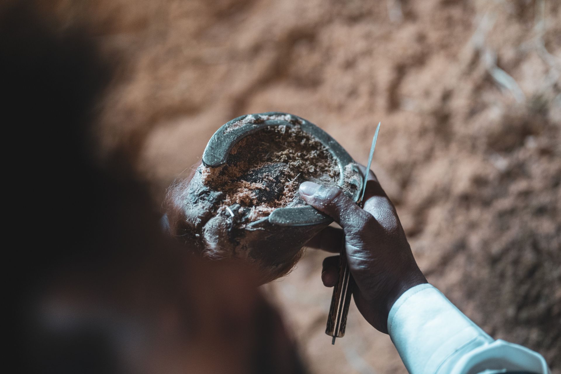 Farrier carefully inspects horse hoof with tools in hand outdoors.