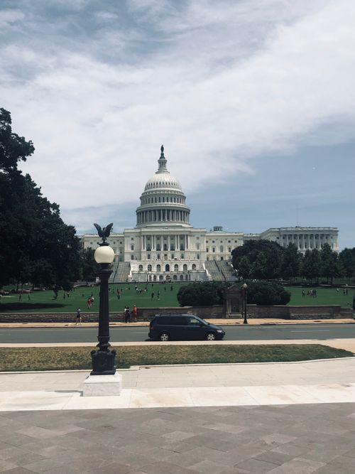 Free The historic United States Capitol Building in Washington, DC, surrounded by lush greenery. Stock Photo