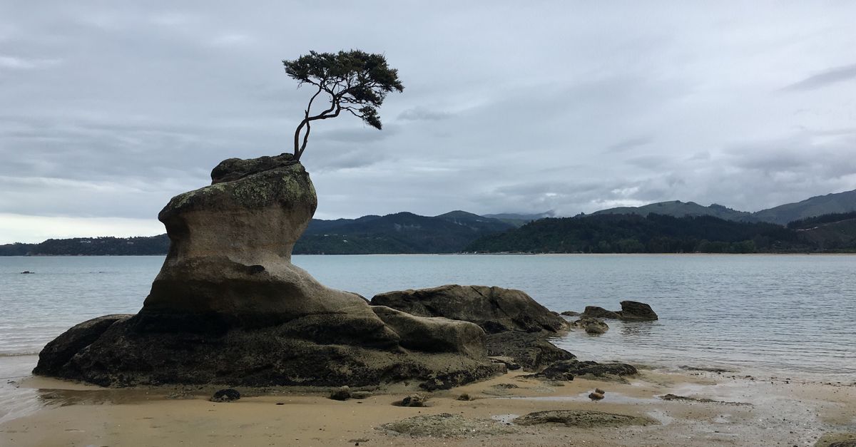 New Zealand vejr i oktober: Guide til klima, oplevelser og rejseforberedelse