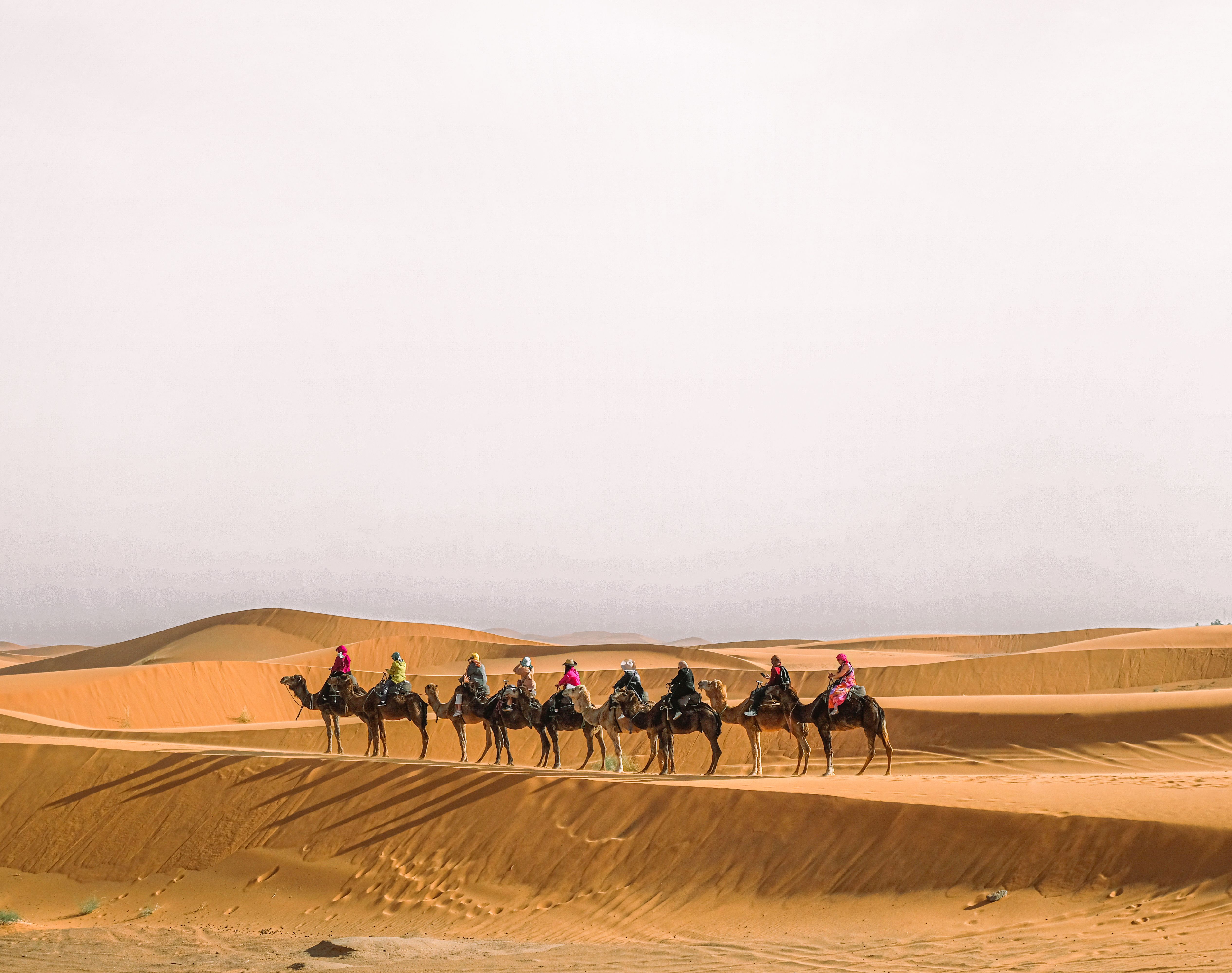 4 Días Tour desde Marrakech hasta Fez vía el Desierto del Sahara