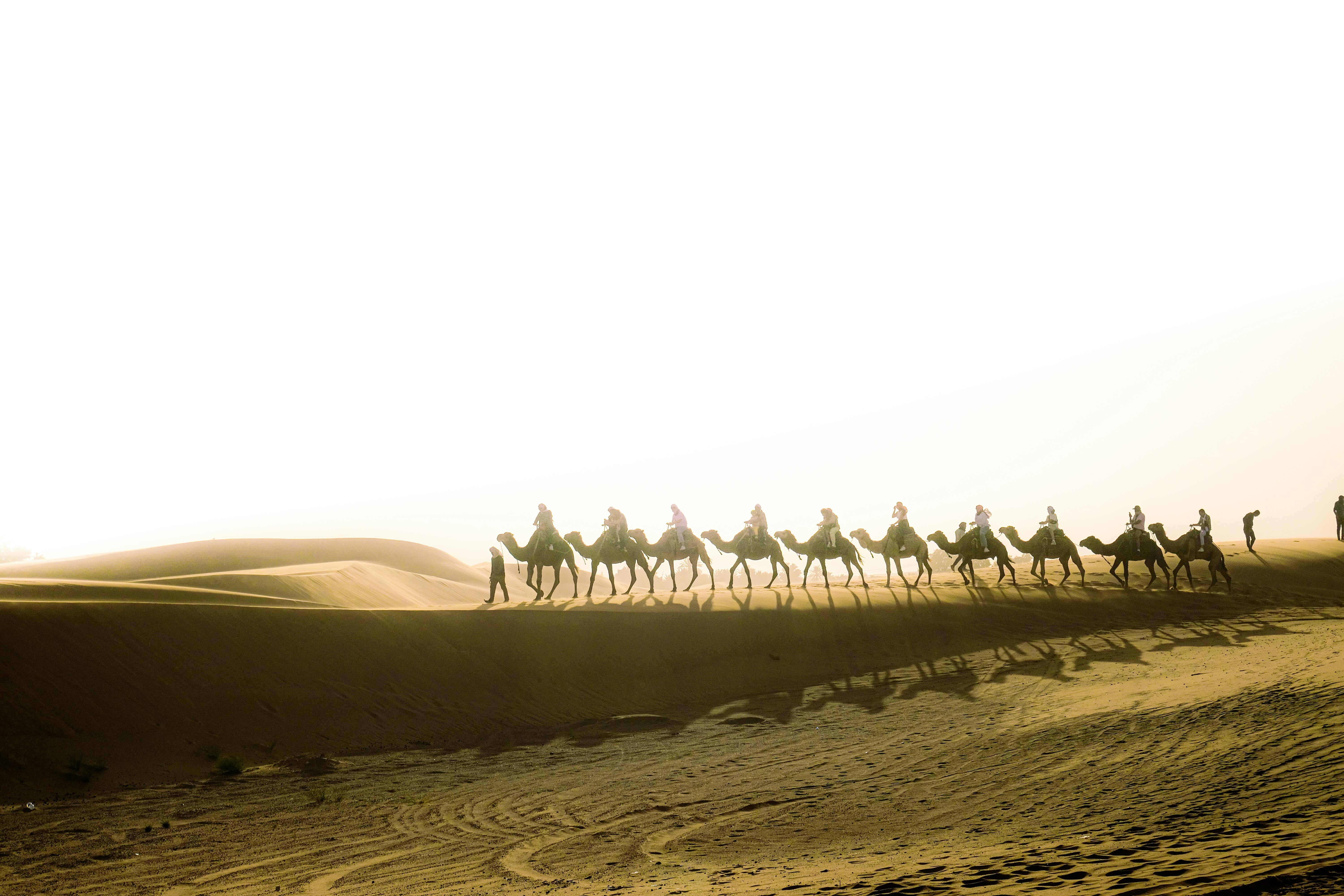 general travel group pty ltd — Photo by mohamed aouni on Pexels