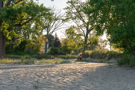 Coyote Attacks 14-Year-Old Boy at Orléans Park in Brazen Daylight Incident