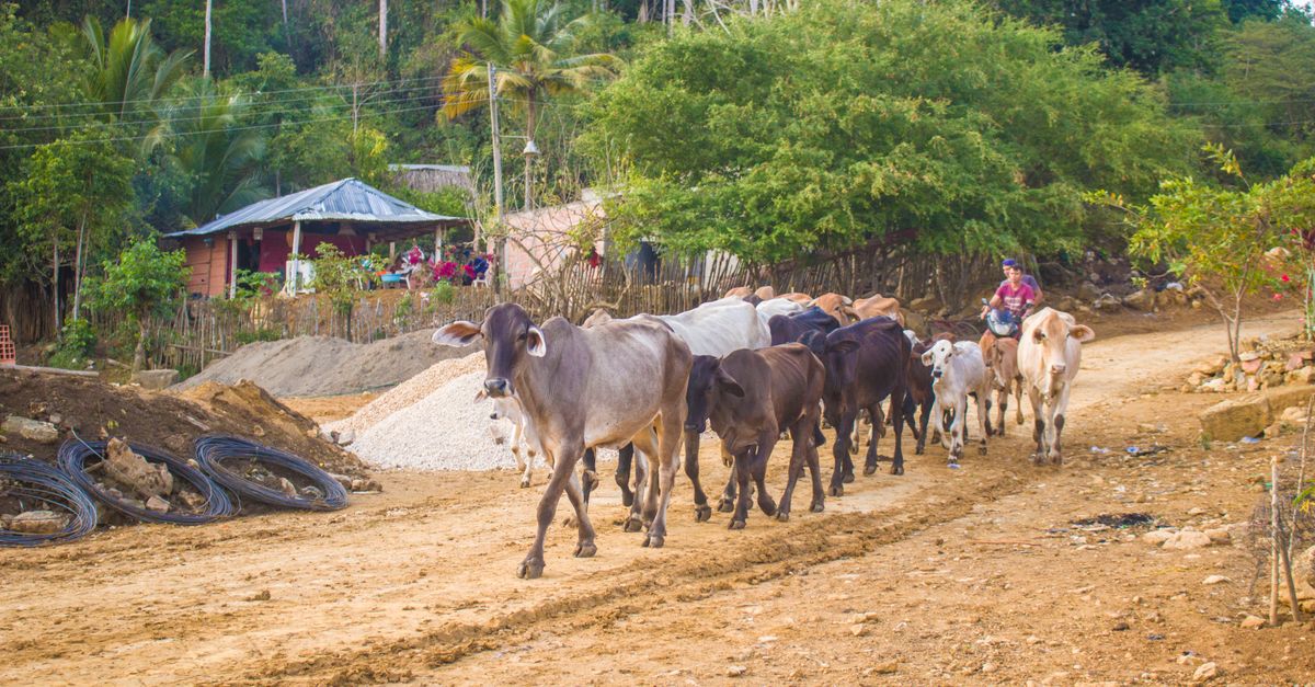 Photo of Honduras