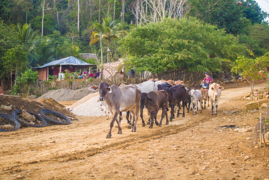 Immigrer en Honduras après 40 ans : Quelles options ?