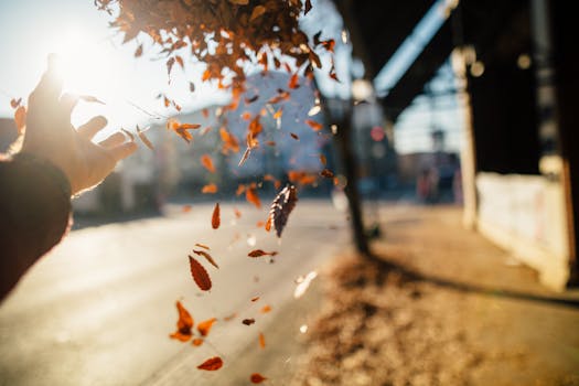 一只在阳光明媚的街道上，将秋叶抛向空中的手，捕捉到了秋天的本质