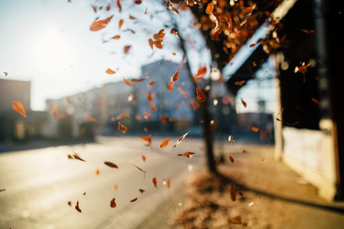 Weekend Weather Alert: Showers and 40s Across Indiana