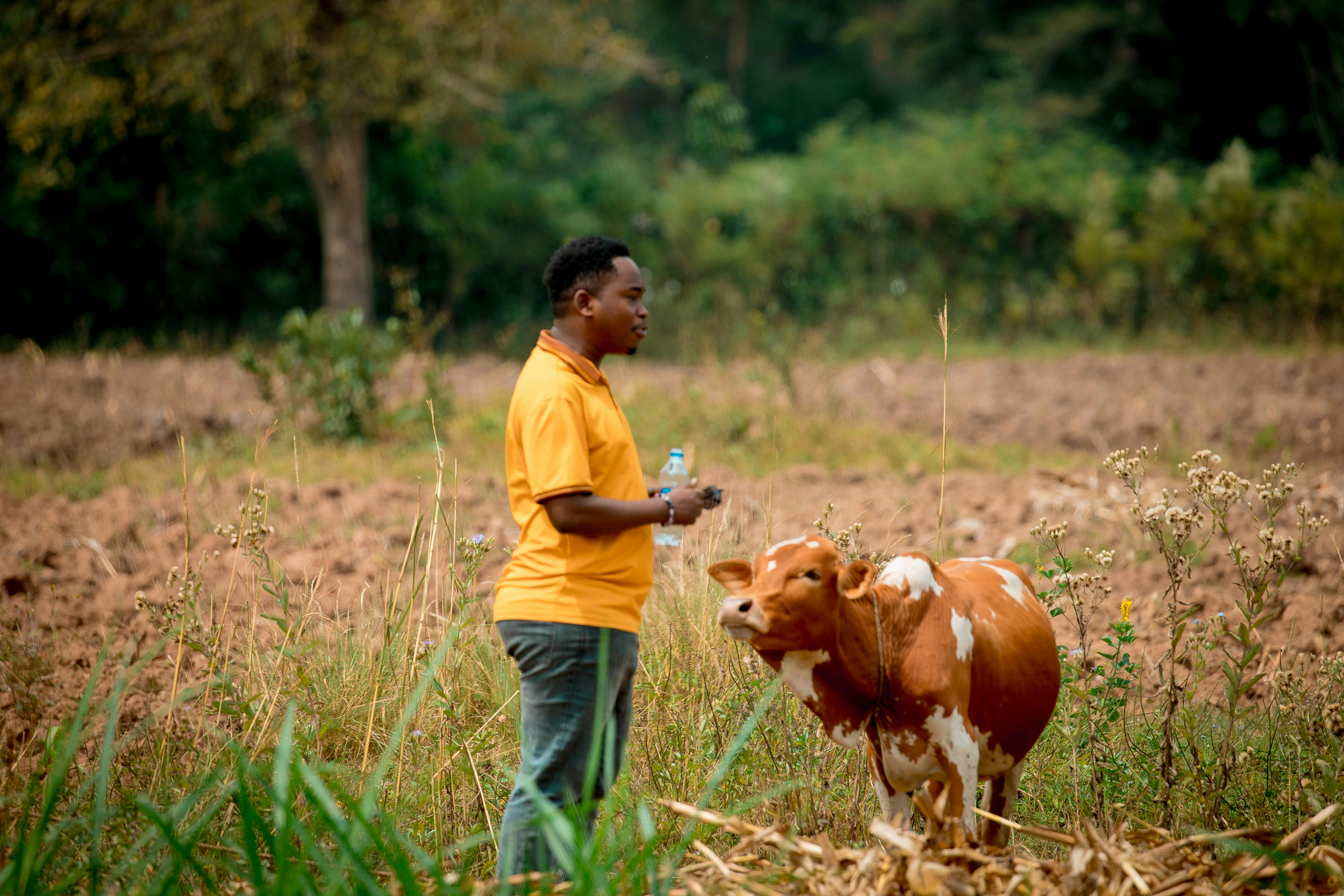 Kenya economic growth steady at 4.6% in 2025, data shows
