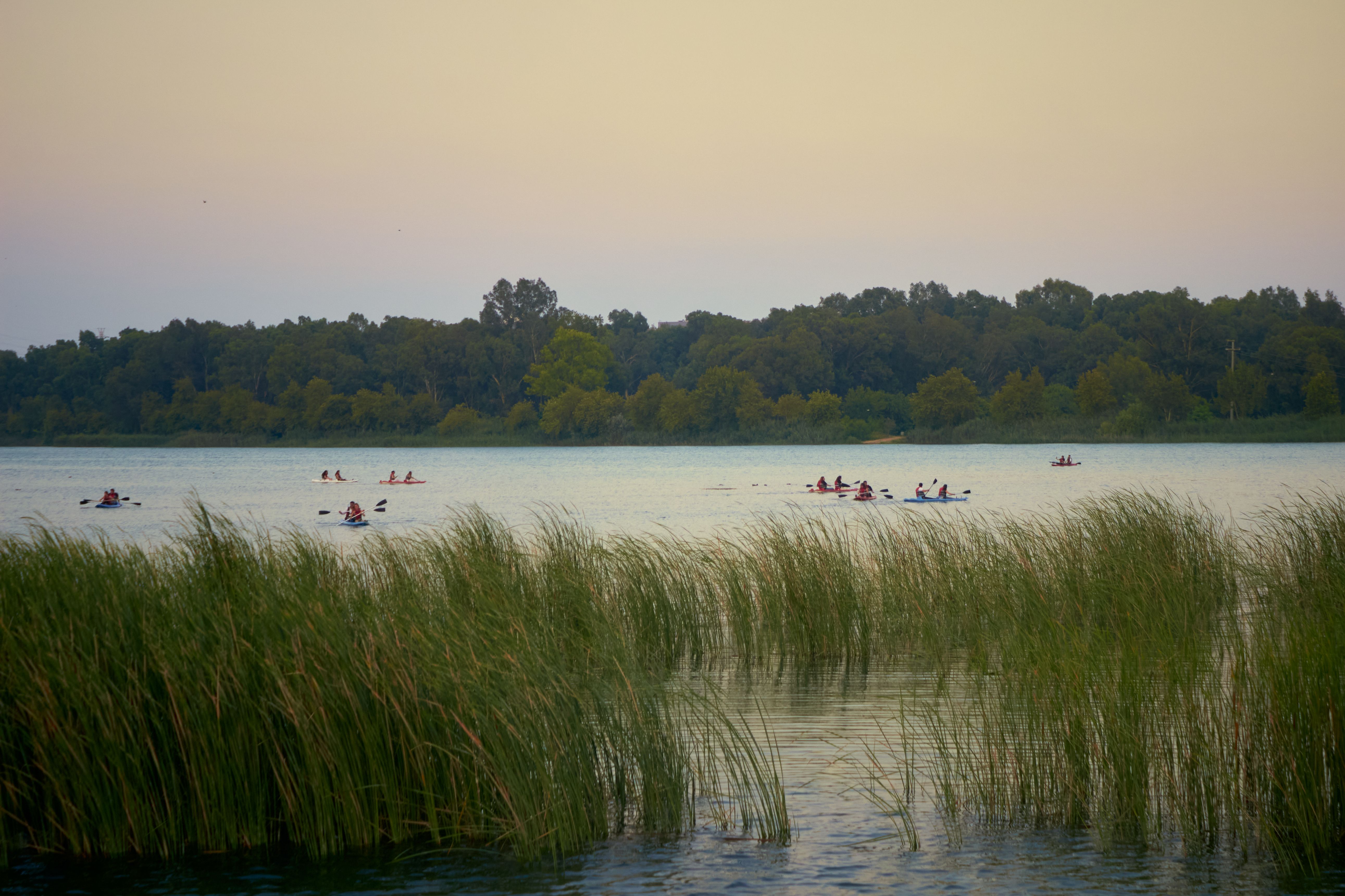 Policy Brief: Outdoor Recreation and Public Health — Photo by Murathan Yacan on Pexels