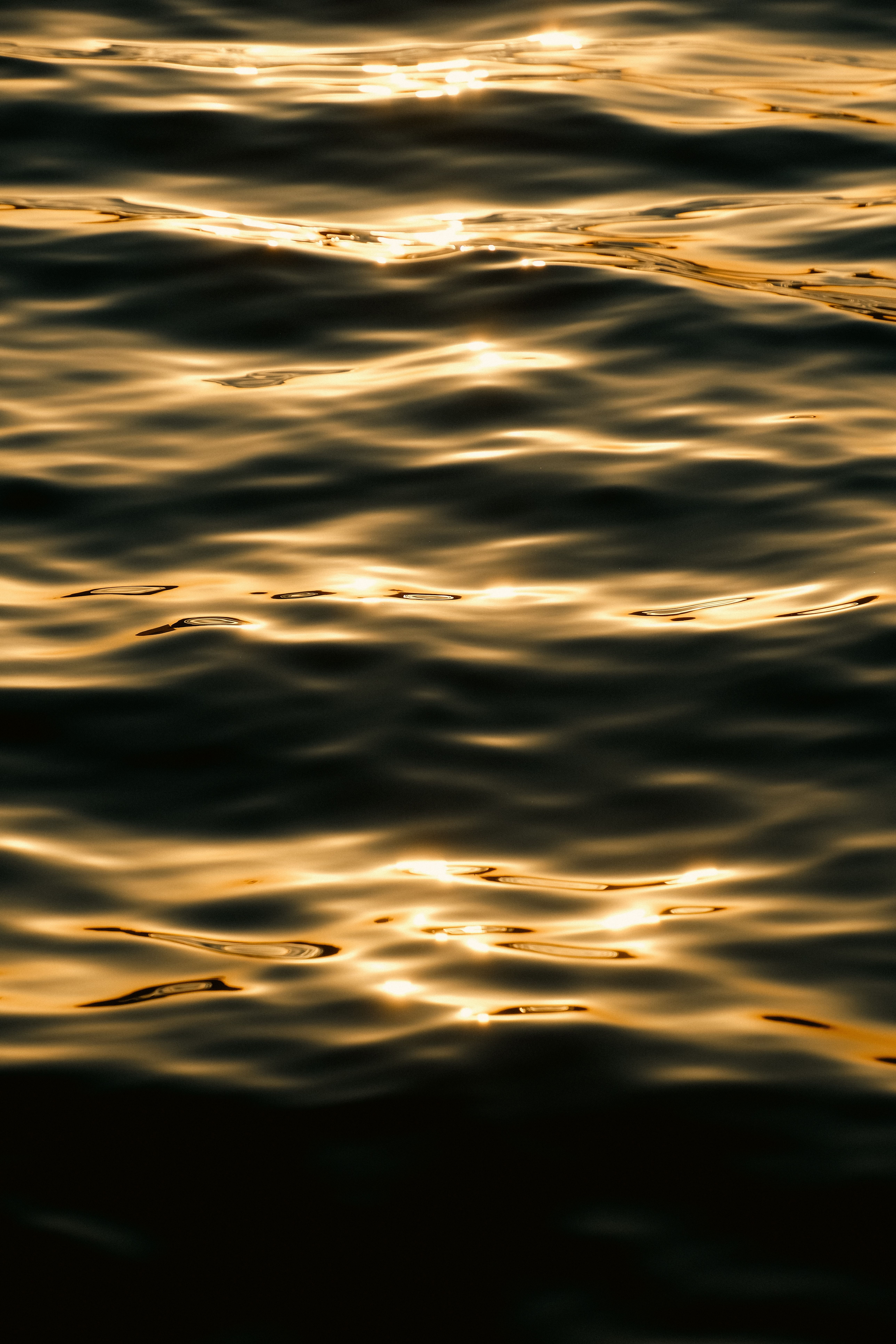 Golden Sunset Reflections on Calm Water · Free Stock Photo