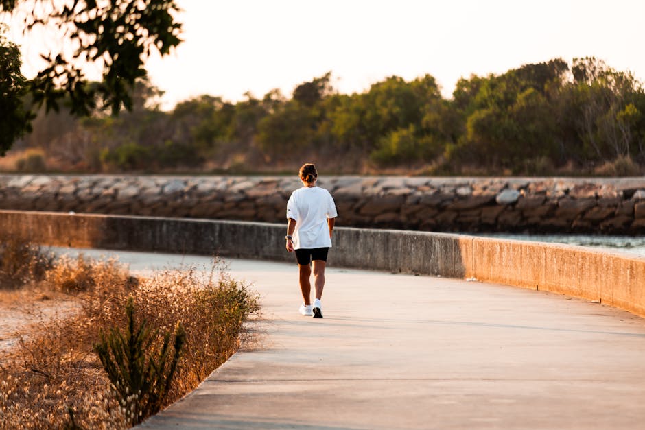 Person walking alone on a sunny path in Aveiro, Portugal, during daytime.