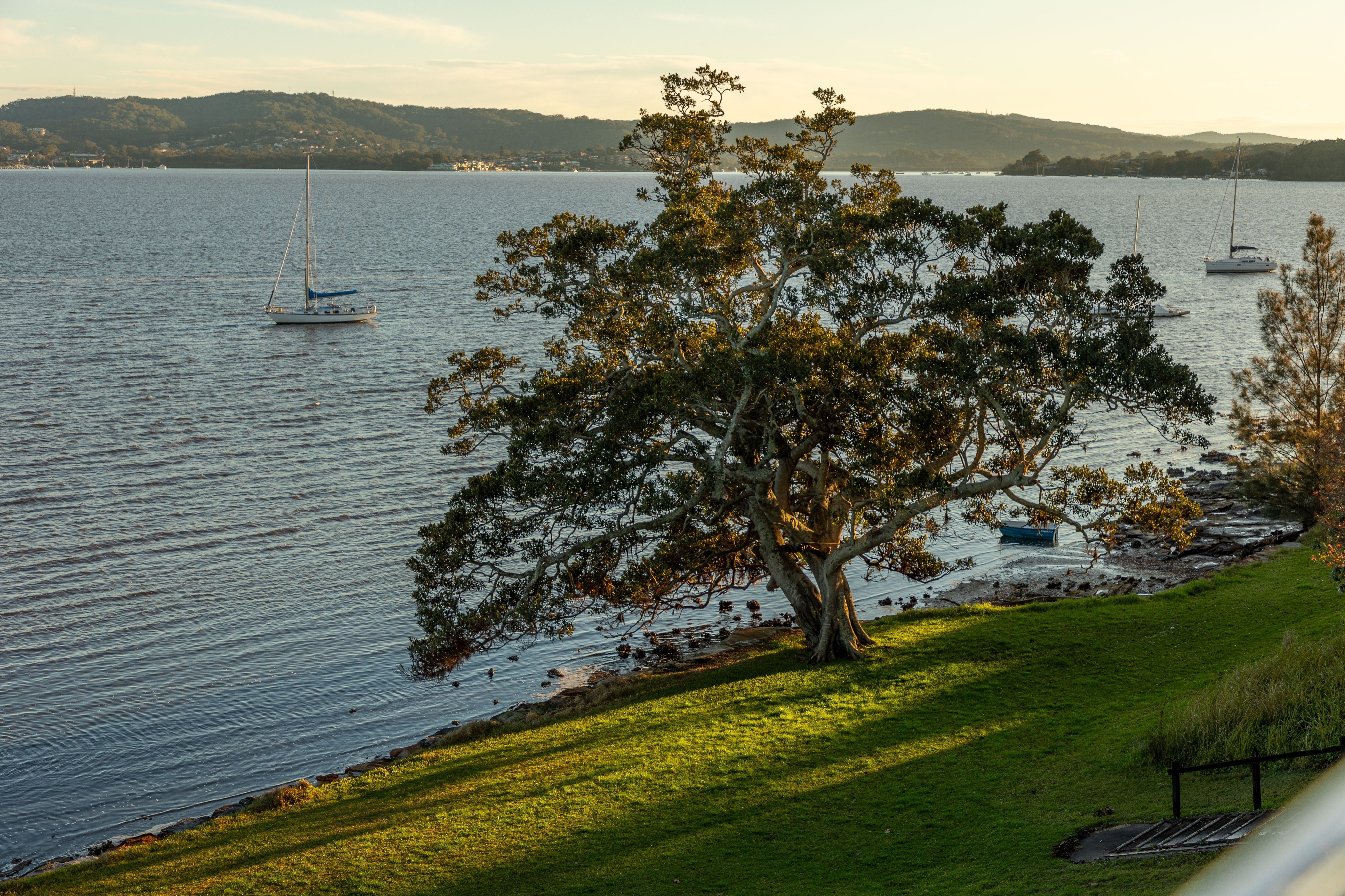 Gosford