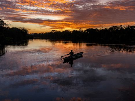 Pink river dolphin encounter — Amazon — Brazil