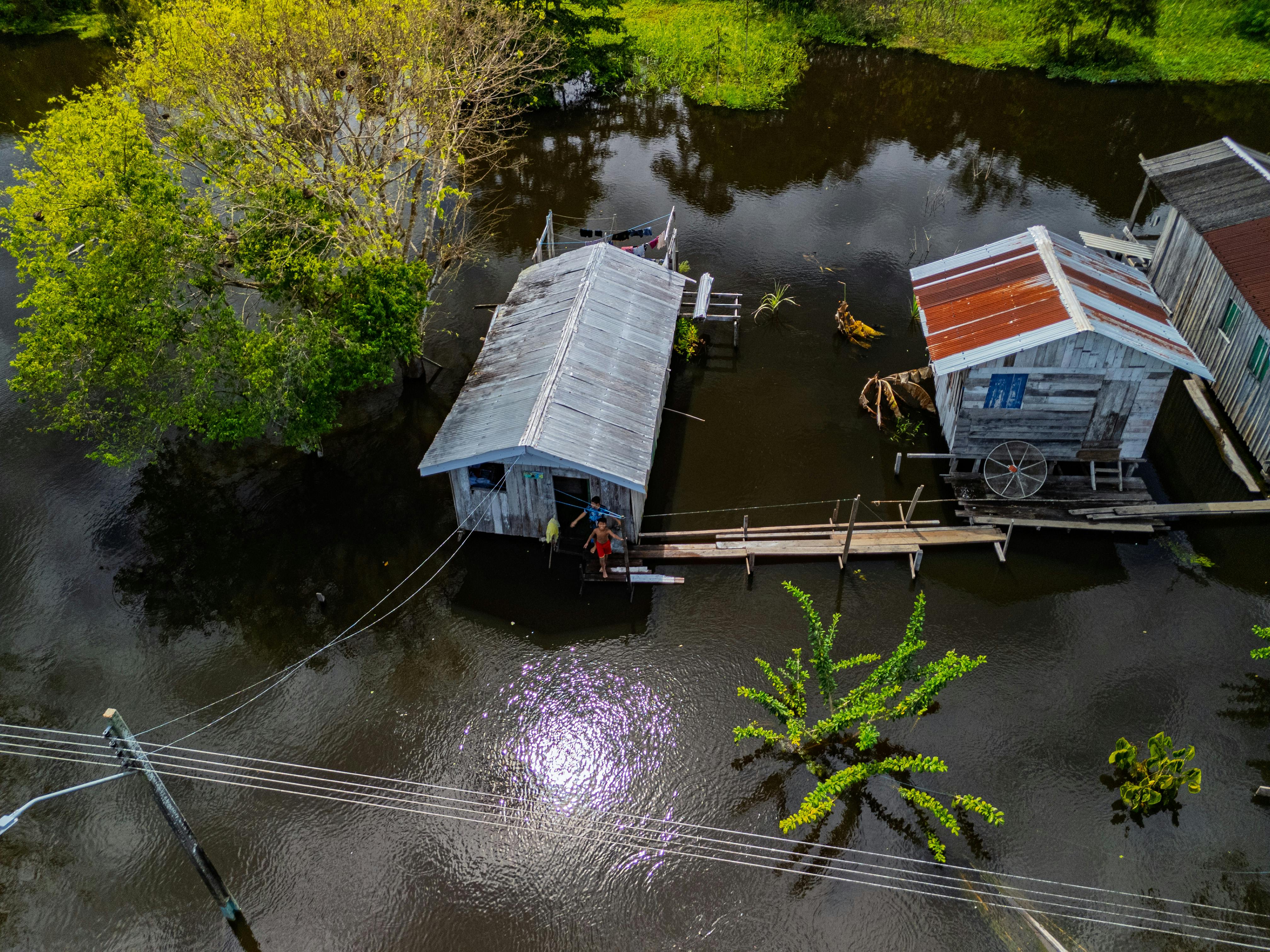 climate resilience ecosystem restoration — Photo by Eduardo Amorim on Pexels