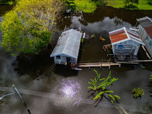 Free Aerial view of palafitos amidst flooded waters in Amazonas, Brazil, showcasing rural life. Stock Photo