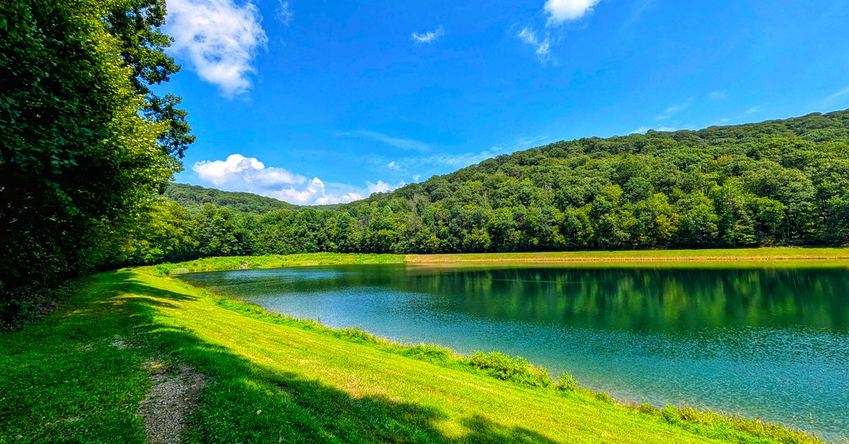 Peaceful scene of a lake surrounded by lush green hills under a clear blue sky.