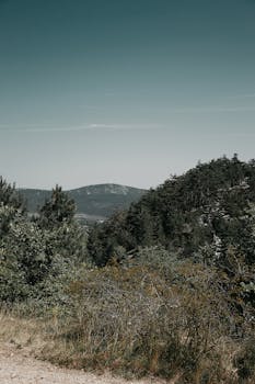 A peaceful view of hills and forest under a clear sky in Hungary, showcasing natural beauty.