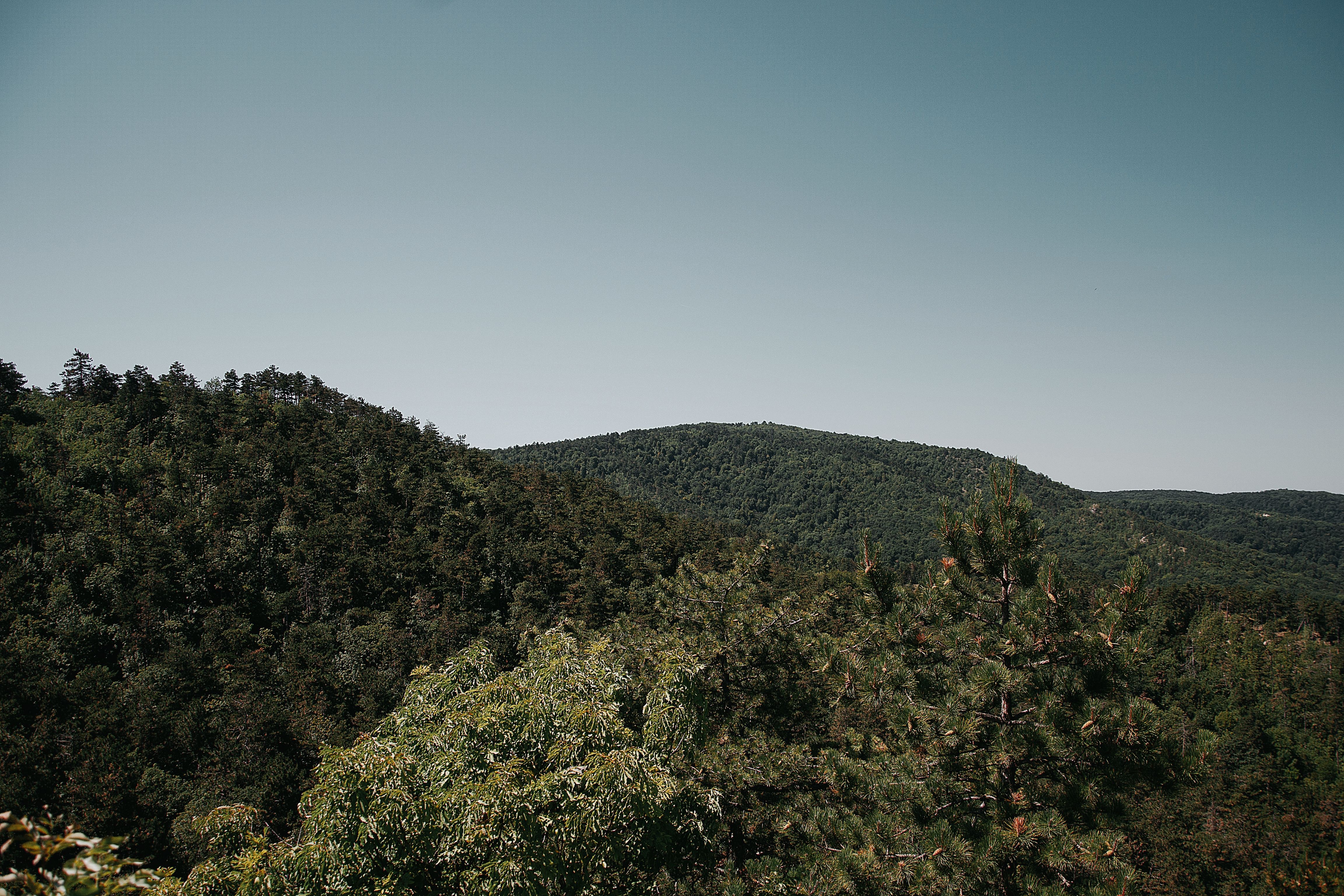 Breckie+Hill+Background+4k Photos, Download The BEST Free Breckie+Hill ...
