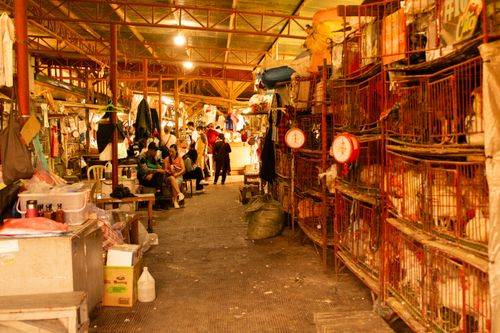 Free Lively marketplace in Baguio City featuring local vendors and various goods under warm lighting. Stock Photo