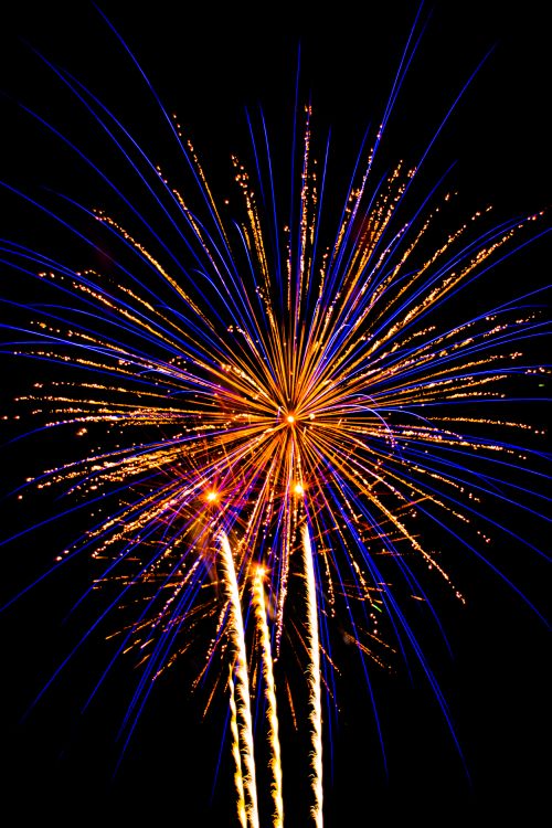Free Colorful fireworks exploding brightly in the dark night sky. Stock Photo