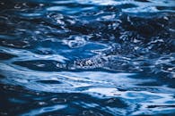 Close-up of Rippling Blue Water Surface