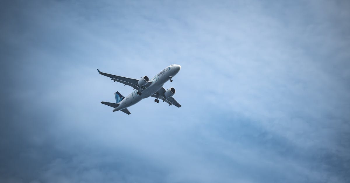 廣東蚊子大作戰 管控與科技雙管齊下 防疫新策略大揭秘