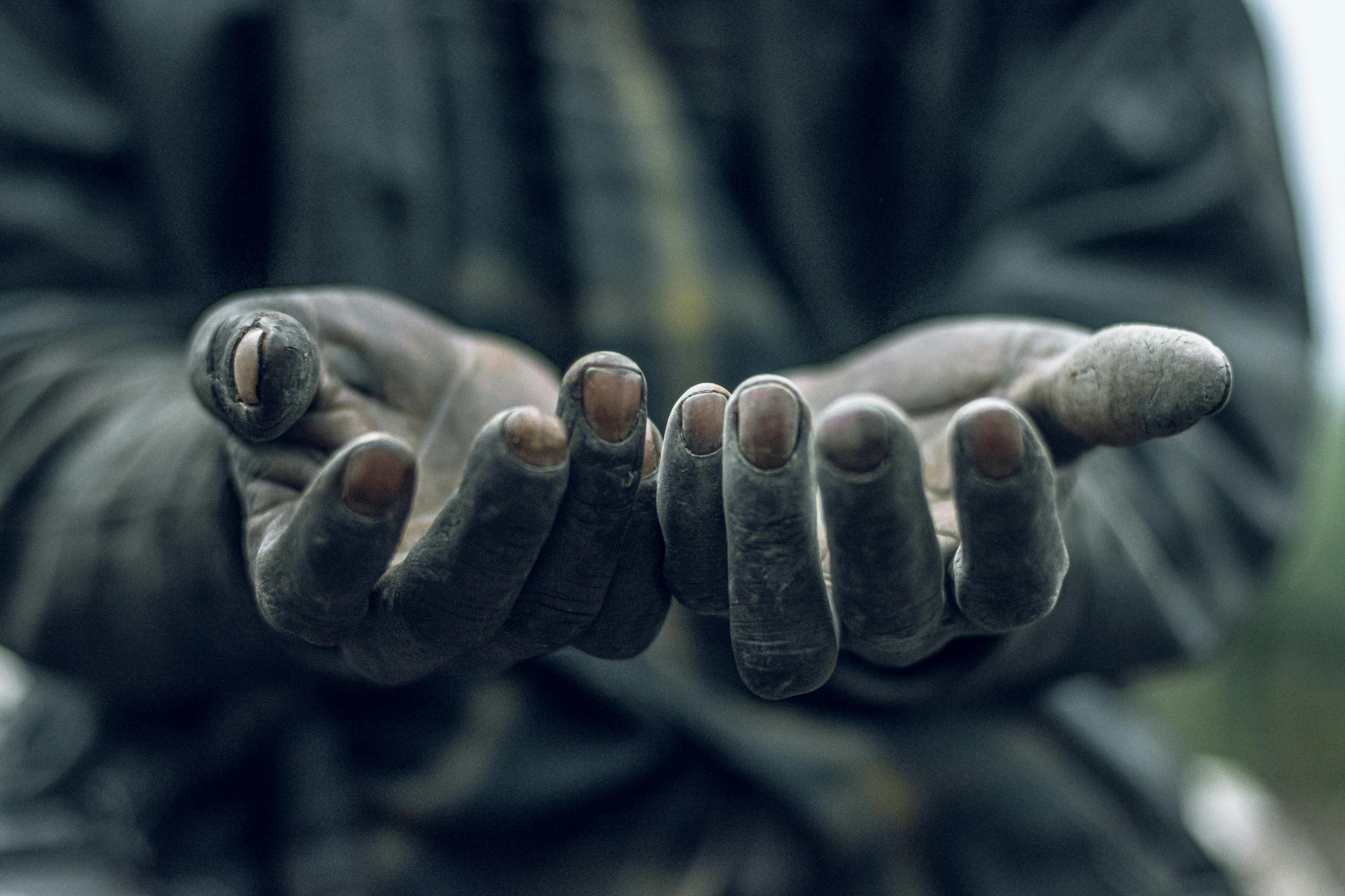 Gratuit Gros plan détaillé de mains sales ouvertes et tendues, symbolisant le travail acharné et l'humilité. Photos