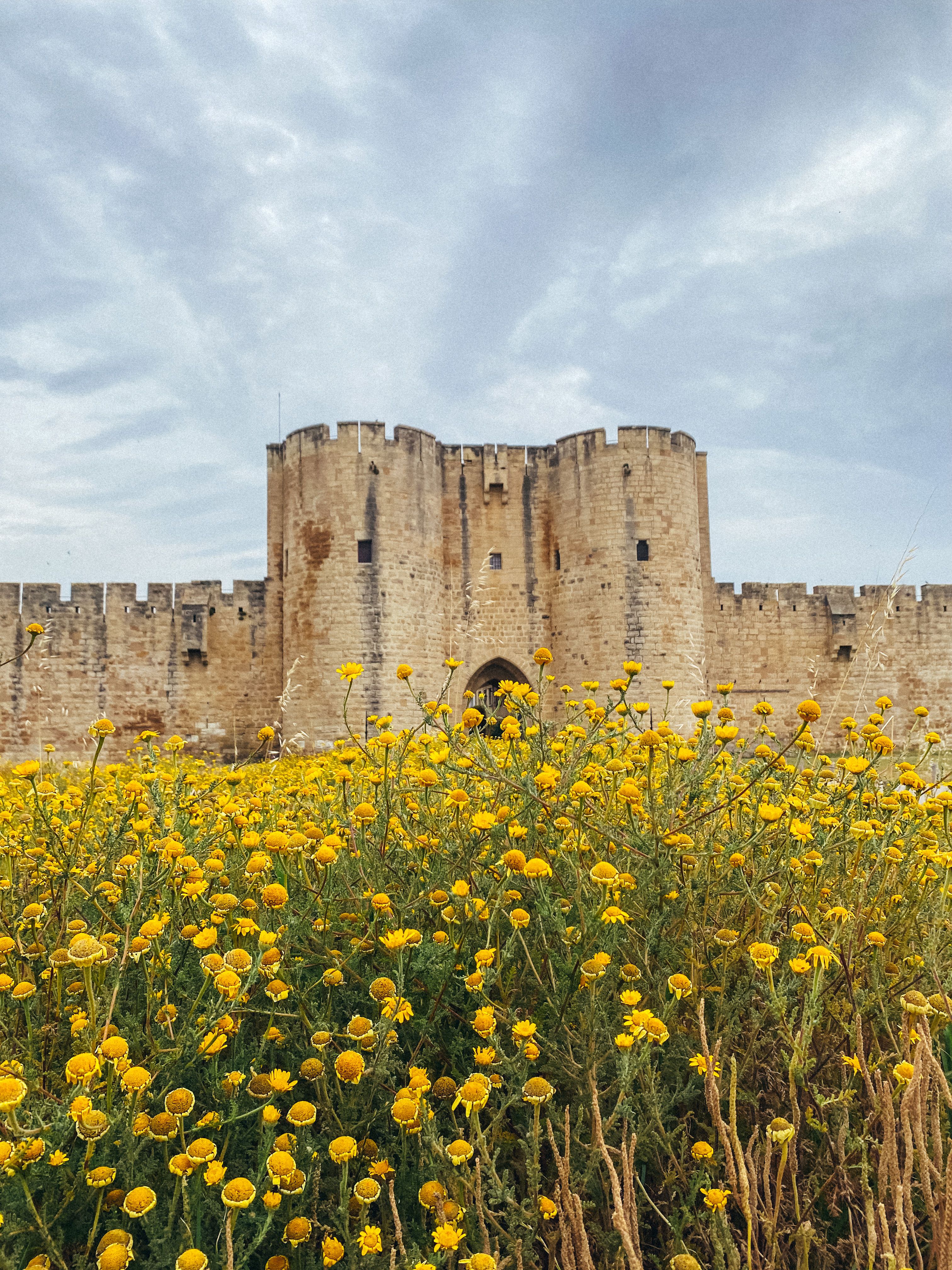 Explore the medieval walls of Aigues-Mortes, surrounded by vibrant yellow flowers under a cloudy sky.