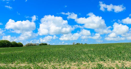 Free stock photo of clouds, farm, field